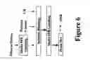 Fig. 07 - Solution masterbatch process using finely ground fillers for low hysteresis rubber