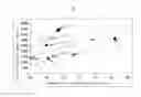 Fig. 02 - Aromatic polycarbonate resin composition and process for the production thereof