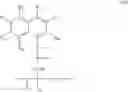 Fig. 41 - Polyhydroxyalkanoate having ester group, carboxyl group, and sulfonic group, and method of producing the same