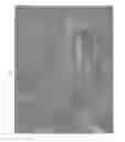 Fig. 06 - Poly(ureaurethane)s, articles and coatings prepared therefrom and methods of making the same