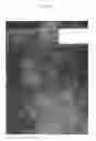 Fig. 16 - Poly(ureaurethane)s, articles and coatings prepared therefrom and methods of making the same