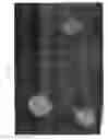Fig. 17 - Poly(ureaurethane)s, articles and coatings prepared therefrom and methods of making the same