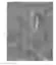 Fig. 06 - Polyurethanes, articles and coatings prepared therefrom and methods of making the same