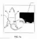 Fig. 06 - Aliphatic polyester polymer compositions and preparation method thereof