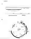 Fig. 02 - Preparation of antifreeze protein