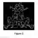 Fig. 03 - Crystals of MarR polypeptides, regulators of multiple antibiotic resistance
