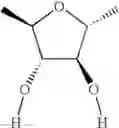 Fig. 23 - Chiral diphosphorus compounds and their transition metal complexes