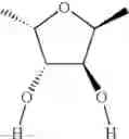 Fig. 30 - Chiral diphosphorus compounds and their transition metal complexes