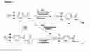 Fig. 07 - Prosthetic groups attached to stannyl polymer in the synthesis of radiopharmaceuticals