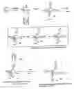 Fig. 01 - Organic compositions