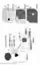Fig. 04 - Radioactive-emission-measurement optimization to specific body structures
