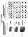 Fig. 24 - Radioactive-emission-measurement optimization to specific body structures