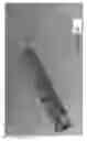 Fig. 42 - Radioactive-emission-measurement optimization to specific body structures
