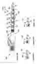 Fig. 53 - Radioactive-emission-measurement optimization to specific body structures