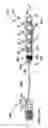 Fig. 57 - Radioactive-emission-measurement optimization to specific body structures