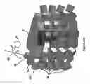Fig. 78 - Radioactive-emission-measurement optimization to specific body structures