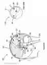 Fig. 80 - Radioactive-emission-measurement optimization to specific body structures