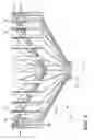 Fig. 03 - Cervimeter