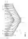 Fig. 03 - Cervimetry control apparatus