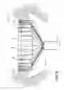 Fig. 09 - Cervimetry control apparatus