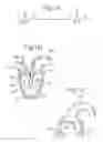 Fig. 02 - Electrotherapy apparatus and method of treating a person or a mammal using such electrotherapy apparatus
