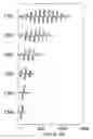 Fig. 01 - Electrical nerve stimulation based on channel specific sequences