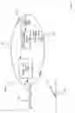 Fig. 07 - Lumen-traveling device