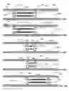 Fig. 22 - Lumen-traveling device