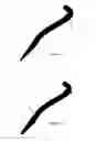 Fig. 02 - Dilating lead tip