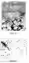 Fig. 07 - Multi-layered matrix, method of tissue repair using the same, and multi-layered implant prepared thereof