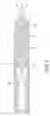 Fig. 10 - Bone replacement material
