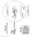 Fig. 04 - Wireless ground link-based aircraft data communication system with roaming feature