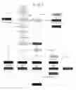Fig. 14 - Disease management system