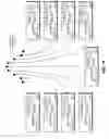 Fig. 11 - Method and apparatus for determining the performance of an integrated circuit