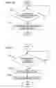 Fig. 09 - Biological information deleting method and system
