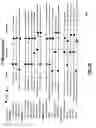 Fig. 11 - High performance business framework and associated analysis and diagnostic tools and processes