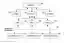 Fig. 01 - Cross company project management