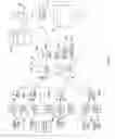 Fig. 05 - Identity preservation and tracing system