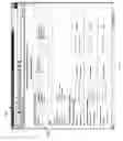 Fig. 19 - Identity preservation and tracing system