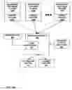 Fig. 29 - Identity preservation and tracing system