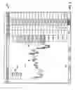 Fig. 07 - System and method for a trading interface incorporating a chart