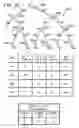 Fig. 13 - Method for optimal winner determination in combinatorial auctions