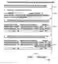 Fig. 01 - Automatic authorization of programmatic transactions