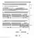 Fig. 02 - Automatic authorization of programmatic transactions