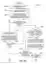 Fig. 08 - RECIPROCAL DATA FILE PUBLISHING AND MATCHING SYSTEM