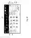Fig. 11 - Application of metadata to documents and document objects via a software application user interface