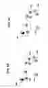 Fig. 09 - Automatic user matching in an online environment