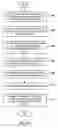 Fig. 11 - Per-user application rendering in the presence of application sharing