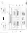 Fig. 04 - Generalized web-service