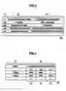 Fig. 04 - File management apparatus and method, and storage system